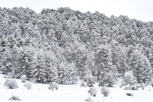 Una máquina quitanieves queda atascada en una carretera de Cuenca capital a causa de la nieve