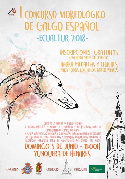 Ecualtur acoge el I Concurso Morfológico de Galgo Español