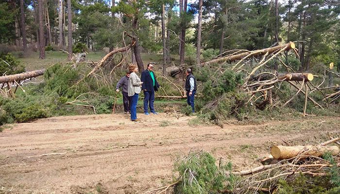El Ayuntamiento de Las Majadas finalmente realizará un aprovechamiento forestal extraordinario gracias a las denuncias del PP