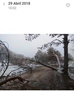 El PP pide al Ayuntamiento de Las Majadas que se acoja a las Ayudas de Carácter Excepcional que “Page, curiosamente, concede a pueblos gobernados por el PSOE” 2 El PP pide al Ayuntamiento de Las Majadas que se acoja a las Ayudas de Carácter Excepcional que “Page, curiosamente, concede a pueblos gobernados por el PSOE”