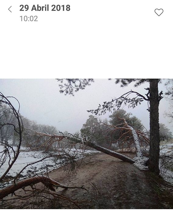 El PP pide al Ayuntamiento de Las Majadas que se acoja a las Ayudas de Carácter Excepcional que “Page, curiosamente, concede a pueblos gobernados por el PSOE”