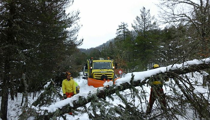 El PSOE de Las Majadas pide al PP que “hable con su jefe Rajoy” para que declare la ‘zona catastrófica’