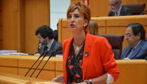 El PSOE pide un mapa de la despoblación en España en el que se diferencien niveles de riesgo para aplicar compensaciones en el mantenimiento de servicios básicos