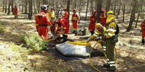 Los ingenieros forestales critican a la Junta por no profesionalizar su personal en materia de incendios forestales
