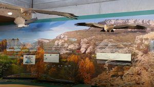 Rutas interpretadas y talleres entre las actividades promovidas por el Gobierno regional en los parques naturales de Guadalajara