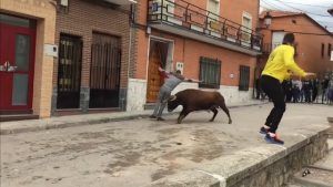 Villarejo de Fuentes. Único pueblo de España que festeja al Cristo de los Pastores. 4 toros en fuentes