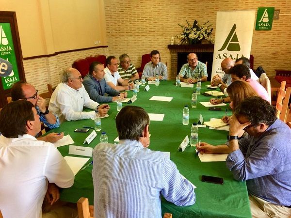 Asaja, pesimista “El girasol está amenazado y hay que buscar soluciones para que el cultivo no desaparezca”