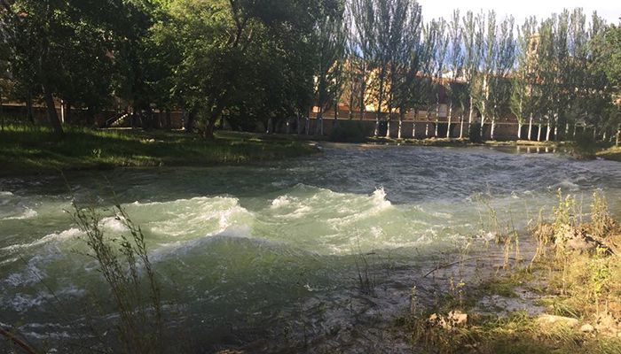 El Ayuntamiento de Trillo aplaza las Vacas por el Tajo por motivos de seguridad debido al caudal del Tajo