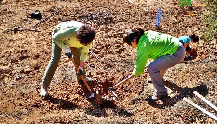 El bosque de Valdenazar necesita voluntarios para arrancar este jueves las plantas invasoras de ailanto