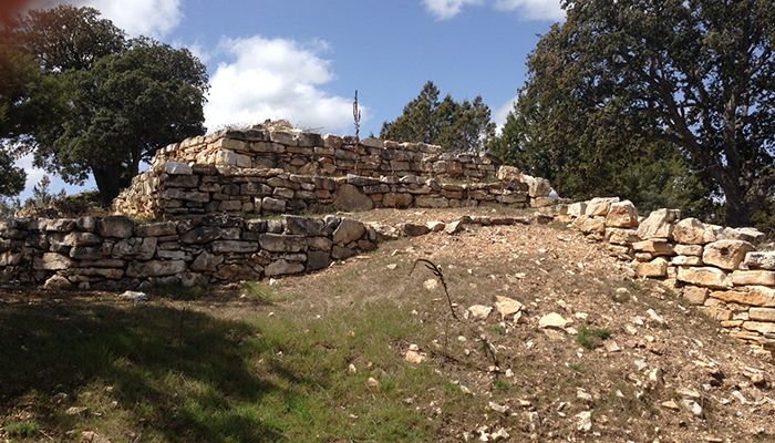 El Museo de Guadalajara organiza una conferencia sobre el poblado prerromano de Olmeda de Cobeta