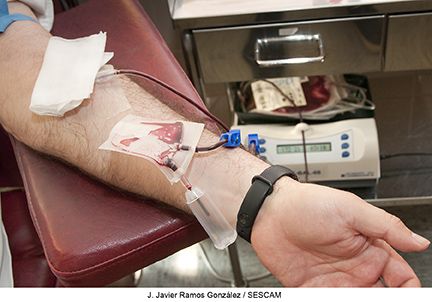 Castilla-La Mancha supera los 38.000 donantes de sangre en cinco meses y distribuye más de 72.000 componentes sanguíneos a los hospitales 3 Guadalajara celebra el Día del Donante de Sangre con el objetivo de aumentar las donaciones para cubrir las necesidades de la provincia