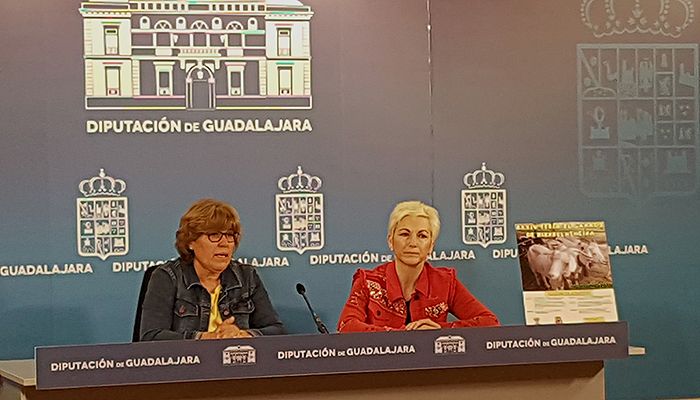 Hiendelaencina celebrará el sábado 16 de junio la XXXIV Feria del Ganado con el apoyo de la Diputación de Guadalajara