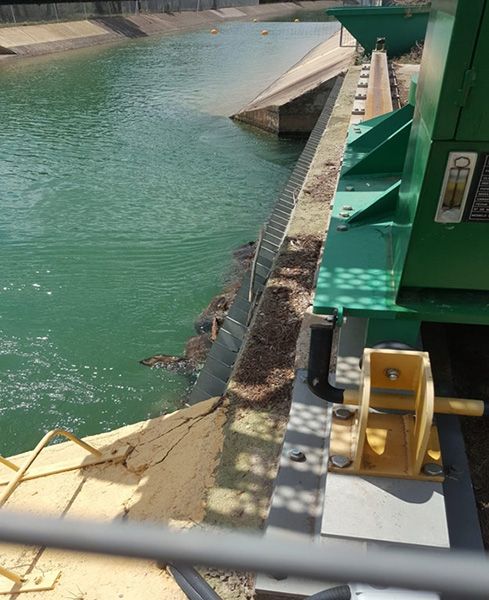 La Federación de Caza y Aproca piden a la CHT evitar el ahogamiento de especies en el trasvase Tajo-Segura