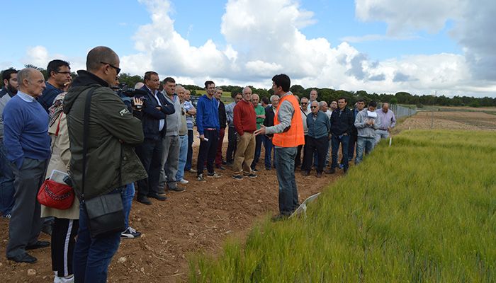 La Junta destaca el “importante servicio público” que prestan los centros de investigación como Albaladejito a los agricultores