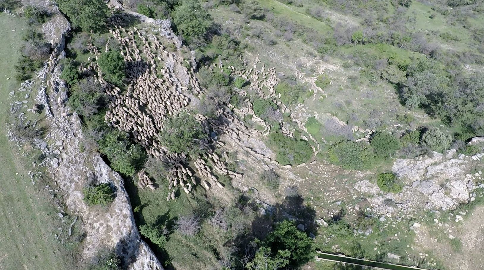 Trashumancia. En la última etapa,  vista desde el aire, los Usero llegan a su casa en Las Majadas.