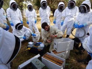 Una veintena de bomberos han participado en el curso de intervención apícola para la retirada de enjambres de abejas en el entorno urbano