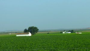 Asaja Cuenca, Fundación LAFER y Foro Interalimentario lanzan el curso de gestión estratégica de explotaciones agrícolas y ganaderas