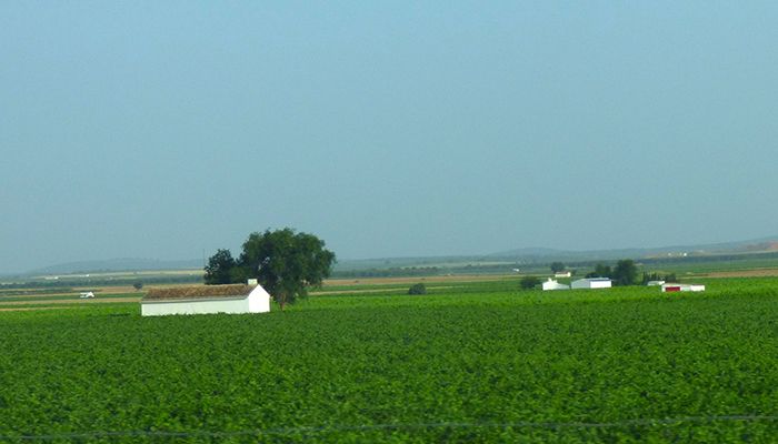 Asaja Cuenca, Fundación LAFER y Foro Interalimentario lanzan el curso de gestión estratégica de explotaciones agrícolas y ganaderas