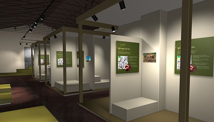 Así será el Museo del Ajo de Las Pedroñeras