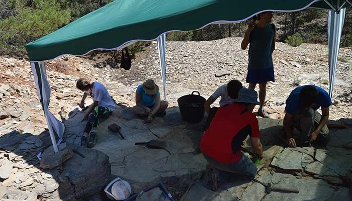 Comienza el IV Curso de Excavación Paleontológica en el yacimiento de Las Hoyas” con seminarios en el Museo de Paleontología de CLM