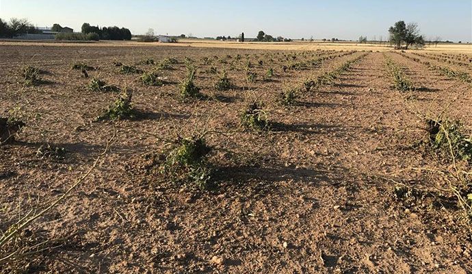 Cuenca y Guadalajara pillarán algo de los 35 millones de indemnización por las tormentas del fin de semana pasado