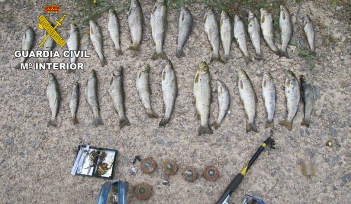 Denunciado un pescador en Guadalajara tras ser sorprendido con más de veinte truchas en un tramo del Tajo de pesca sin muerte