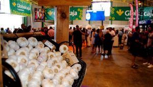 El ajo, producto estrella de Las Pedroñeras (Cuenca), da el salto a la cosmética con productos tan novedosos como jabón con ajo negro.  Es una de las novedades de esta edición número 46 de la Feria Internacional, tal y como explica Jesús Esteban, socio de Mouse Hill, -que el año pasado fue galardonada con el `Ajo de Plata´ por parte del Ayuntamiento de Las Pedroñeras-.  Mouse Hill realiza productos derivados del ajo negro y este año traen a la Feria como novedad el jabón elaborado con este ingrediente que, según Esteban, “es bueno para tratar la dermatitis atópica, el acné. También para pieles sensibles y para tener una piel saludable”.  Según ha indicado Jesús Esteban, el proceso de elaboración del ajo negro se realiza con ajo crudo que se fermenta durante 90 días y, por este proceso, se transforman los compuestos, lo que ocasiona que, entre otros factores, sepa a regaliz.  Los beneficios del ajo negro según Esteban son que “multiplica las propiedades antioxidantes, mejora la capacidad antibiótica y contiene aminoácidos esenciales”. Su color se debe a que las altas temperaturas cambian la estructura química del azúcar y los aminoácidos del ajo.  Otra de las novedades que presenta Mouse Hill en la Feria es aceite con ajo negro; todo ello, después de su amplia aplicación vanguardista de este producto, como son cápsulas de ajo negro –fundamentalmente para deportistas-, miel con ajo negro, bombones de ajo negro, entre otros productos que comercializan.  Artesanía del ajo: Desde las ristras más tradicionales a ramos de novia y lámparas  La artesanía de los ajos también tiene un lugar destacado en la feria, como es el caso de las ristras de ajos, que comenzó hace más de 60 años el padre de Mª Paz Ramírez, gerente de `Ajos Rafael Ramírez´.  Así, ha explicado que su padre fue el primero que elaboró estas ristras, que han llegado a alcanzar hasta los 70 metros de longitud.  Además, realizan lámparas, e incluso ramos de novia que han llegado hasta Canarias. Ramírez explica que les llegan encargos fundamentalmente de restaurantes, hoteles, o para eventos..., todos los productos elaborados con Ajo Morado de Las Pedroñeras.  El ajo: ingrediente estrella de las salsas  El Ajo Morado de Las Pedroñeras es el ingrediente estrella de la dieta mediterránea, por ello, está en las salsas que se exponen en la feria y que los visitantes quieren degustar.  Dolores Suárez, directora comercial de `Familia Suárez´, que tiene un stand en la Feria Internacional del Ajo, explica que son especialistas en transformación de los Ajos Morados en salsas, pastas de ajo, dados, láminas o ajos pelados.  Como novedad, `Familia Suárez´ ha lanzado el allioli de ajo negro y la crema de ajo negro, pero muchas son las salsas que han lanzado al mercado, como es el caso de la salsa chimichurri –con la que comenzaron-, pasando por el Mojo Picón al estilo canario.  Además, según explica Dolores Suárez, el allioli con aceite de oliva tiene mucha aceptación en España y el elaborado con aceite de girasol es uno de los más demandados para exportar, así como el Mojo Picón.  Tecnología para el cultivo del ajo  Otro de los puntos destacados de la feria es la maquinaria que pone a disposición del campo la última tecnología para ayudar en la producción del ajo.  Tal y como explica Joaquín Broch Pozo, gerente de la empresa Coagrip (Comercial Agrícola Las Pedroñeras), han venido a la Feria Internacional para exponer todo tipo de maquinaria para el cultivo del ajo, como sembradoras, desgranadoras, cosechadoras, abonadoras, fresadoras, trituradoras...  En este sentido, ha destacado la gran aceptación de las máquinas plantadoras neumáticas y de las arrancadoras atadoras de ajos que, según ha explicado, entre sus funciones tiene la de arrancar, cortar la raíz, e incluso limpiar y quitar la tierra.  De este modo, la tecnología más vanguardista llega al campo para ofrecer las mejores posibilidades en la recolección del producto emblemático de Las Pedroñeras, lo que supone una mayor productividad, facilitando las arduas labores de nuestros agricultores.