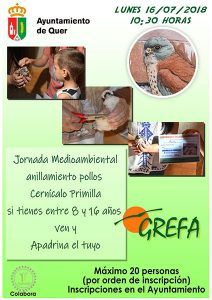 Este lunes, anillamiento de los cernícalos primilla en Quer en una Jornada Medioambiental 2 Este lunes, anillamiento de los cernícalos primilla en Quer en una Jornada Medioambiental