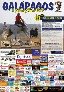 Galápagos celebra este fin de semana su VI feria chica, con un encierro por el campo