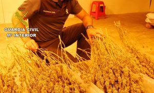 Incautados 44 kilos de marihuana en Fuentenovilla y dos personas detenidas