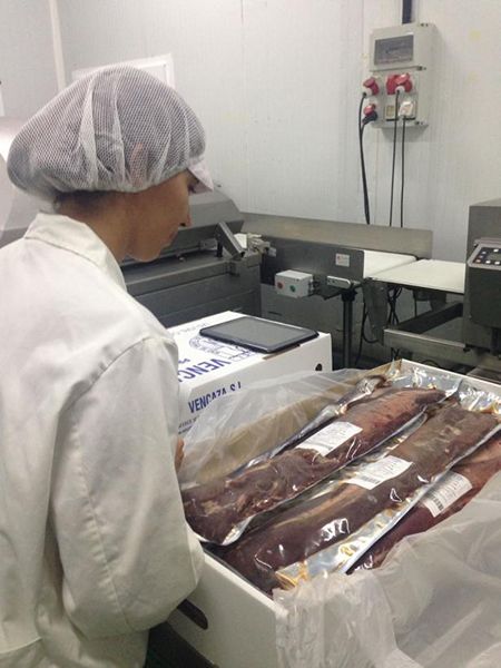 Inspeccionadas cerca de 683.000 piezas de caza en Castilla-La Mancha durante la última temporada 3 Inspeccionadas cerca de 683.000 piezas de caza en Castilla-La Mancha durante la última temporada