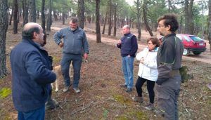 La Diputación de Guadalajara abre la convocatoria de ayudas para resineros, ferias agrícolas y los Grupos de Desarrollo Rural