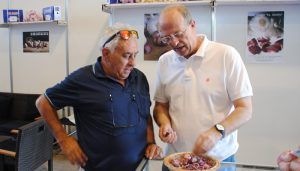 La Feria Internacional del Ajo de Las Pedroñeras, un apoyo fundamental al sector en un año complicado por el retraso en la recolección del ajo