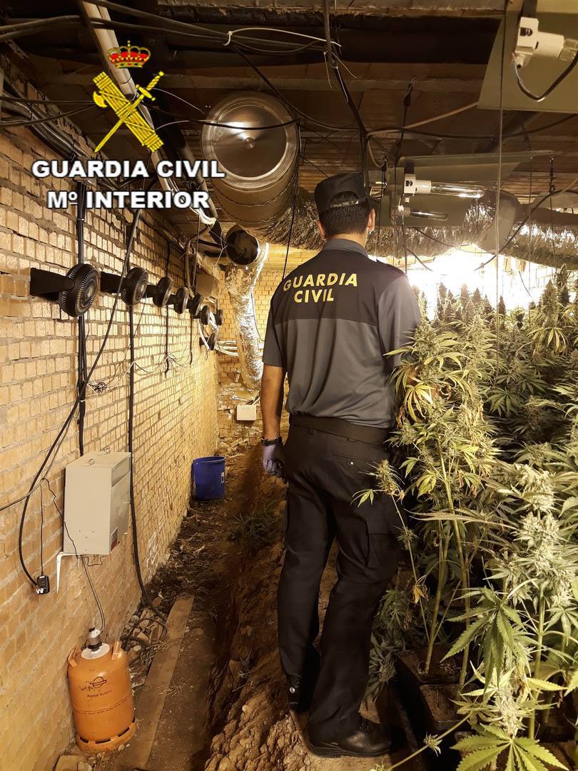La Guardia Civil detiene a 5 personas e incauta 2.000 plantas de marihuana en Cabanillas y Torrejón del Rey 3 La Guardia Civil detiene a 5 personas e incauta 2.000 plantas de marihuana en Cabanillas y Torrejón del Rey