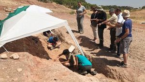 La Junta financia siete proyectos de investigación de patrimonio arqueológico y paleontológico en la provincia de Guadalajara