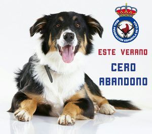 La RFEC inicia la campaña #CeroAbandono