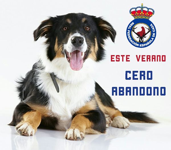 La RFEC inicia la campaña #CeroAbandono
