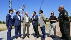 Publicada una línea de ayudas para reducir el riesgo de electrocución o colisión con el cableado de especies amenazadas