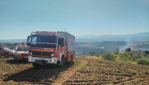 Un total de 21 medios y 74 personas luchan contra el fuego en un incendio en Uceda