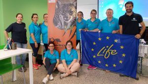 Conservar al lince ibérico repercute positivamente en la calidad de vida