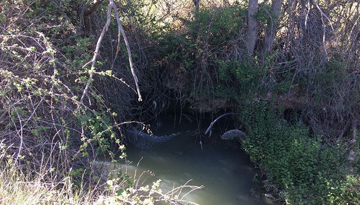 Cs Cuenca insiste en su petición para que se depuren las aguas residuales de las pedanías