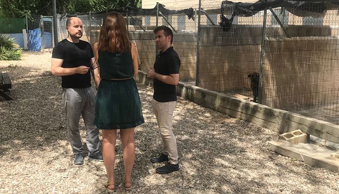 Cs Guadalajara pide una mayor concienciación para reducir las cifras de abandono de animales
