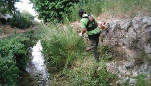 El Ayuntamiento de Cuenca realiza desbroces en el cauce del río Huécar desde el Puente del Portland al de la Trinidad