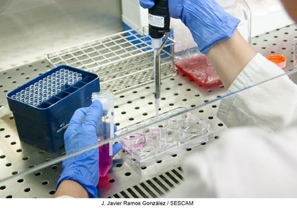 El Hospital de Guadalajara acogerá en octubre las II Jornadas de Investigación para dar a conocer y potenciar el trabajo investigador 3 El Hospital de Guadalajara acogerá en octubre las II Jornadas de Investigación para dar a conocer y potenciar el trabajo investigador