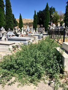 El PP de Barajas de Melo insiste en el “absoluto abandono” del cementerio municipal por parte del Ayuntamiento