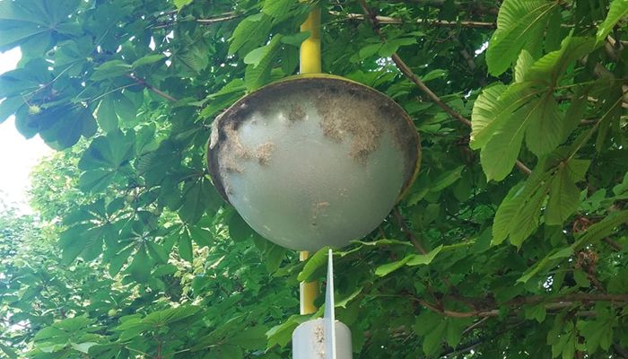 El PSOE en el Ayuntamiento de Cuenca se hace eco de las quejas de los vecinos de la Plaza de Toros por la suciedad en la zona