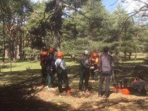 Finalizan cuatro cursos del programa Dipuemplea Joven de la Diputación de Guadalajara que han formado a 40 jóvenes 2 Finalizan cuatro cursos del programa Dipuemplea Joven de la Diputación de Guadalajara que han formado a 40 jóvenes
