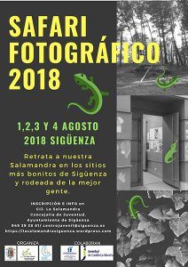 II Concurso de Fotografía Joven 'Safari fotográfico del Centro de Información Juvenil La Salamandra' 2 II Concurso de Fotografía Joven 'Safari fotográfico del Centro de Información Juvenil La Salamandra'