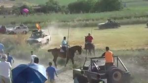 PACMA denuncia el atropello de un toro en un encierro por el campo en Centenera