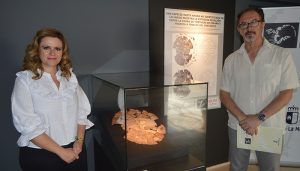 “Foxemys mechinorum”, nuevo fósil del mes en el Museo de Paleontología de CLM 2 “Foxemys mechinorum”, nuevo fósil del mes en el Museo de Paleontología de CLM